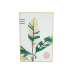CUADRO DECOR HOJAS 40X60 WT8294