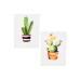 CUADRO DECOR CACTUS 013958/59/60/61 30X40CM