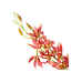 PLANTA ART ORQ CYMBIDIUM 100CM