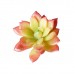 PLANTA ART SUCULENTA SIN FLORERO 2,5