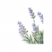 FLOR ART LAVANDA 36CM 0469