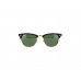 ANTEOJOS RAY BAN 3016 W0365 51